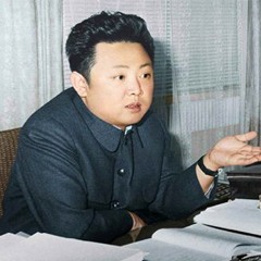 김정일 demo