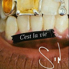 𝑺𝒊𝑵 - 𝑪'𝒆𝒔𝒕 𝑳𝒂 𝑽𝒊𝒆