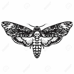 Death Head Hawk Moth
