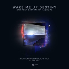Wake Me Up Destiny (Whaler & Naumind Mashup) (Free Download)
