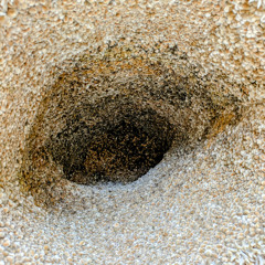 A Séance Of The Table - The Phenomenological Wasteland (French)