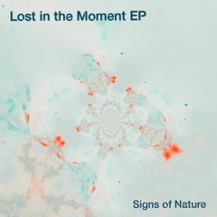 Signs of Nature -  Doors of Ra (Original Mix)
