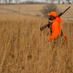 Field Report & Hunting Headlines