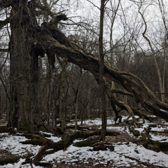 thirty-two: 3 / warm worry