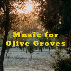 Music for Olive Groves