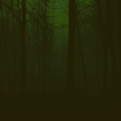 Lost in shadow - Per una selva oscura...