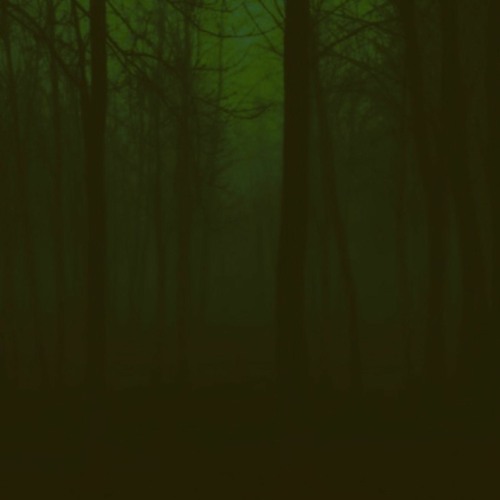 Lost in shadow - Per una selva oscura...