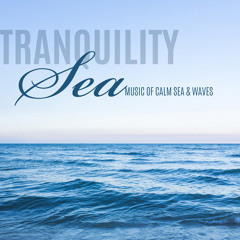 Seagulls & Sea - sea dreams music universe