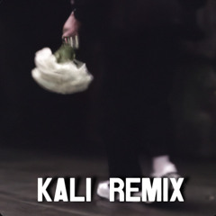 MilleniumKid x JBS – Vielleicht Vielleicht (Kali Remix Bootleg)