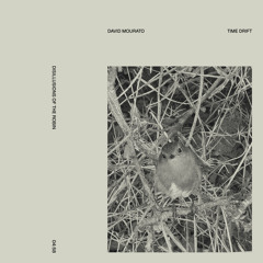 Disillusions of the Robin