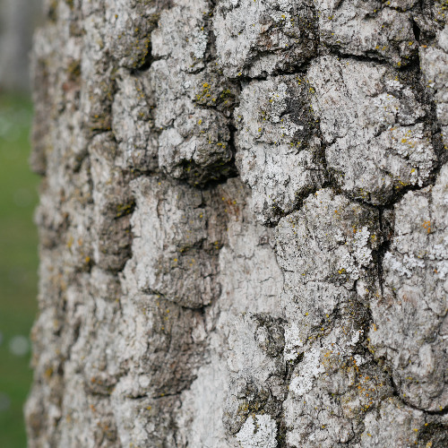 tired (late night quiet mix demo v4)