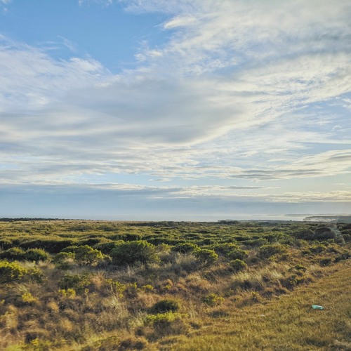 Stream Lean Back Maverick City(Cover) by Hosea Listen online for