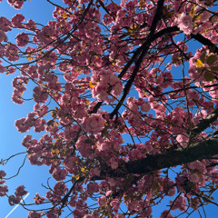 For a moment II در گذشتنی‌ها نظر کردم دمی