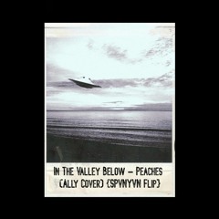 In The Valley Below - Peaches (Ally Cover) [SPVNYVN Flip]