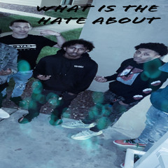 What Is The Hate About (feat. Mickbanz & SavBanz)