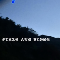 FleshAndBlood (prod. Sobernap)
