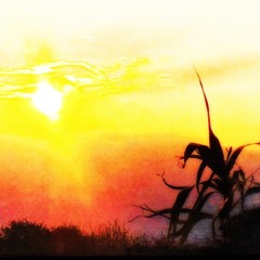 Djanzy - Journey Into Sunrise (MixTape 06.2021)
