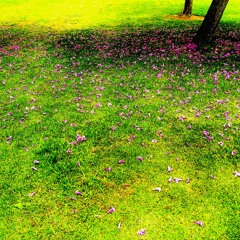 220505_dtc (original mix)