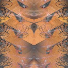 Daily Drop #5139 - Clearing Out Space