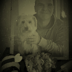 new com 15 dj tepee alpha