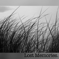 Lost Memoriez