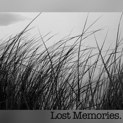 Lost Memoriez