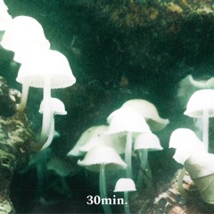 30min.WAV