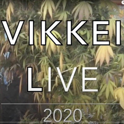 ViKKei - LiVe 2020