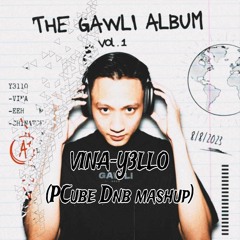 Y3LLO Vina (PCube_Dnb_Mashup)