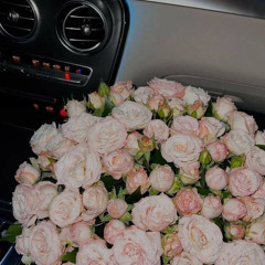 доча × поцелованная солнцем