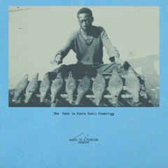 THE BUZZ IN BANTU SONIC COSMOLOGY