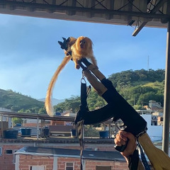 DIGIONE x COMO QUE ELA QUER SENTAR (( JETSETTER x DJ KOALA6 ))