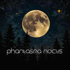 PHANTASMA NOCTIS