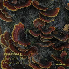 seamless ~ episode °11