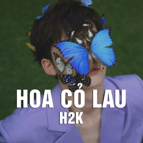 Hoa Cỏ Lau Remix / Giữa mênh mang đồi hoa cỏ lau.. Nhạc hot TIKTOK