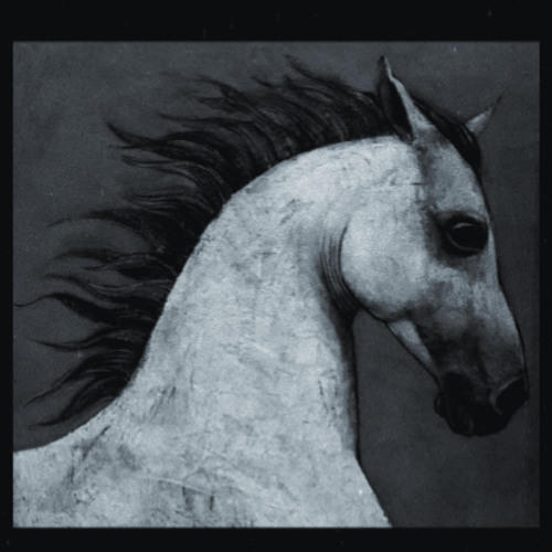 whipping a dead horse