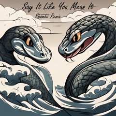 Say It Like You Mean It (Shambii Remix) [FREE DL]