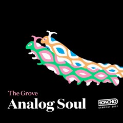 Campout Mix Series: Analog Soul