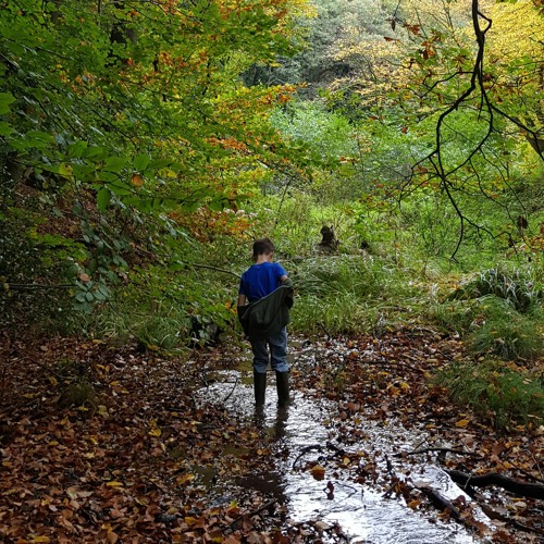La Forestière