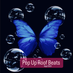 POP UP ROOF BEATS by Chris Eiber live sept 23