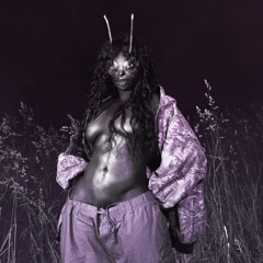 SZA - Scorsese Baby Daddy (slowed & reverb)