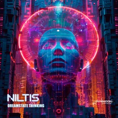 Niltis - Have You?