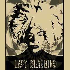 Lady Blackbird Complete