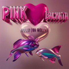 mølly (on molly) - P1NK B4CHATA (FREE DL)