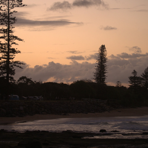 Would you date him? x Spit in my face