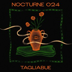 Nocturne Series 024: Tagliabue