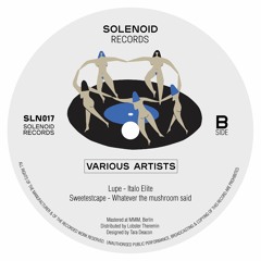PREMIERE: Lupe - Italo Elite [Solenoid Records]