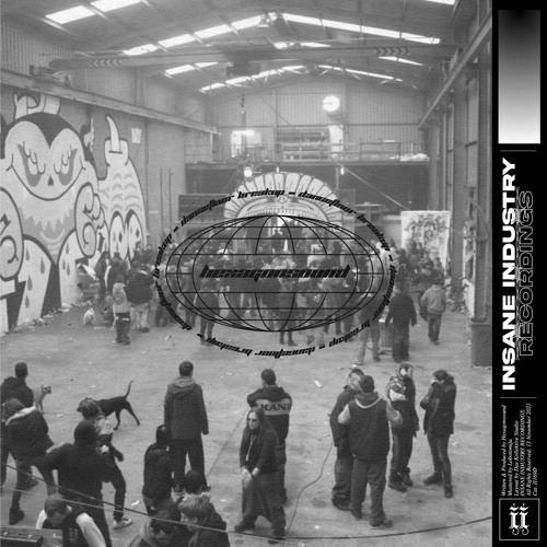 Hexagonsound - What Would You Like [II169D]