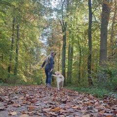 obliging october