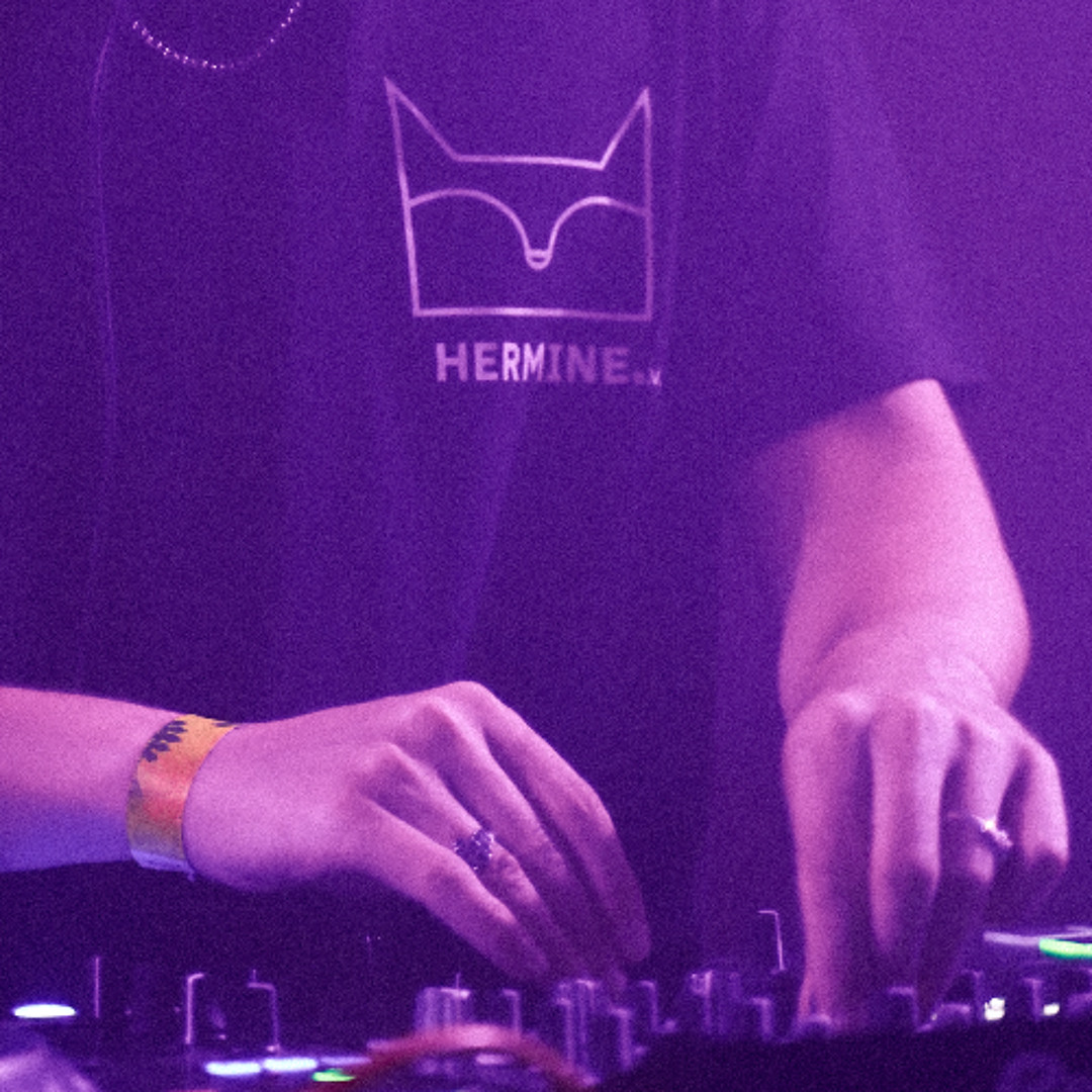 Stream HERMINE Sommerrave // Hardgroove/Techno // 01.08.2025 by